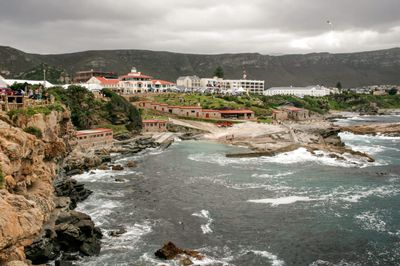 Hermanus
