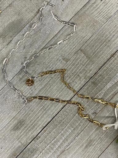 Gold and Silver Necklace mask