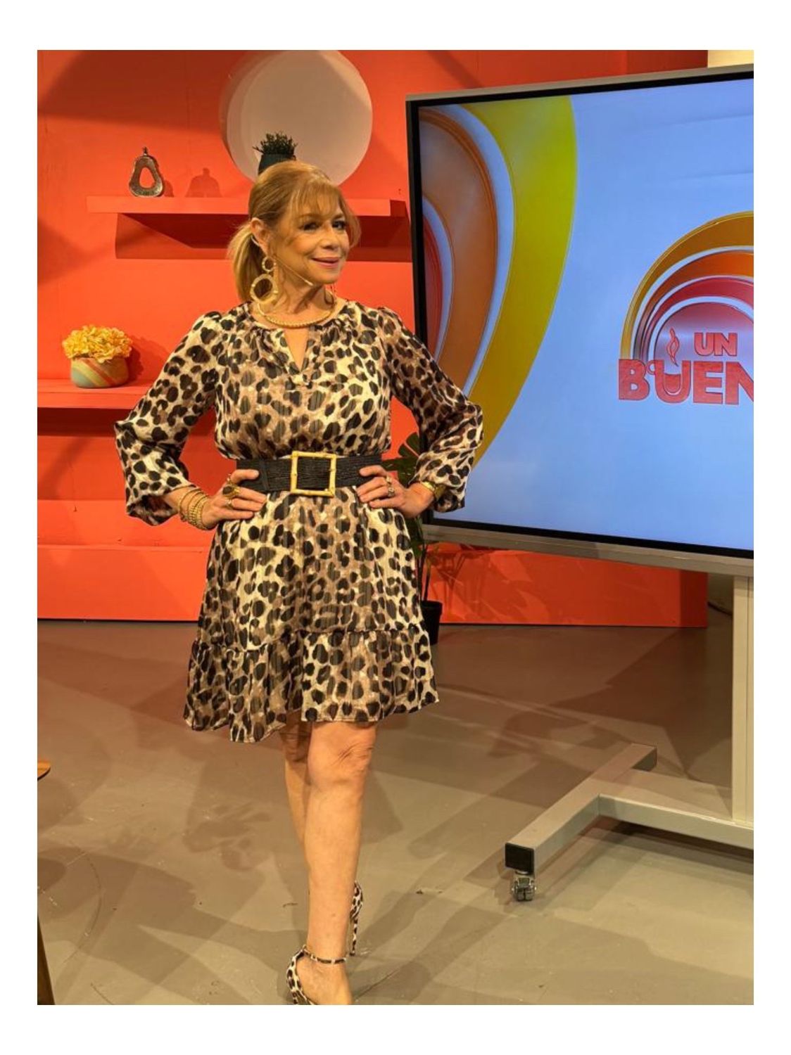 Taupe Animal Print Dress