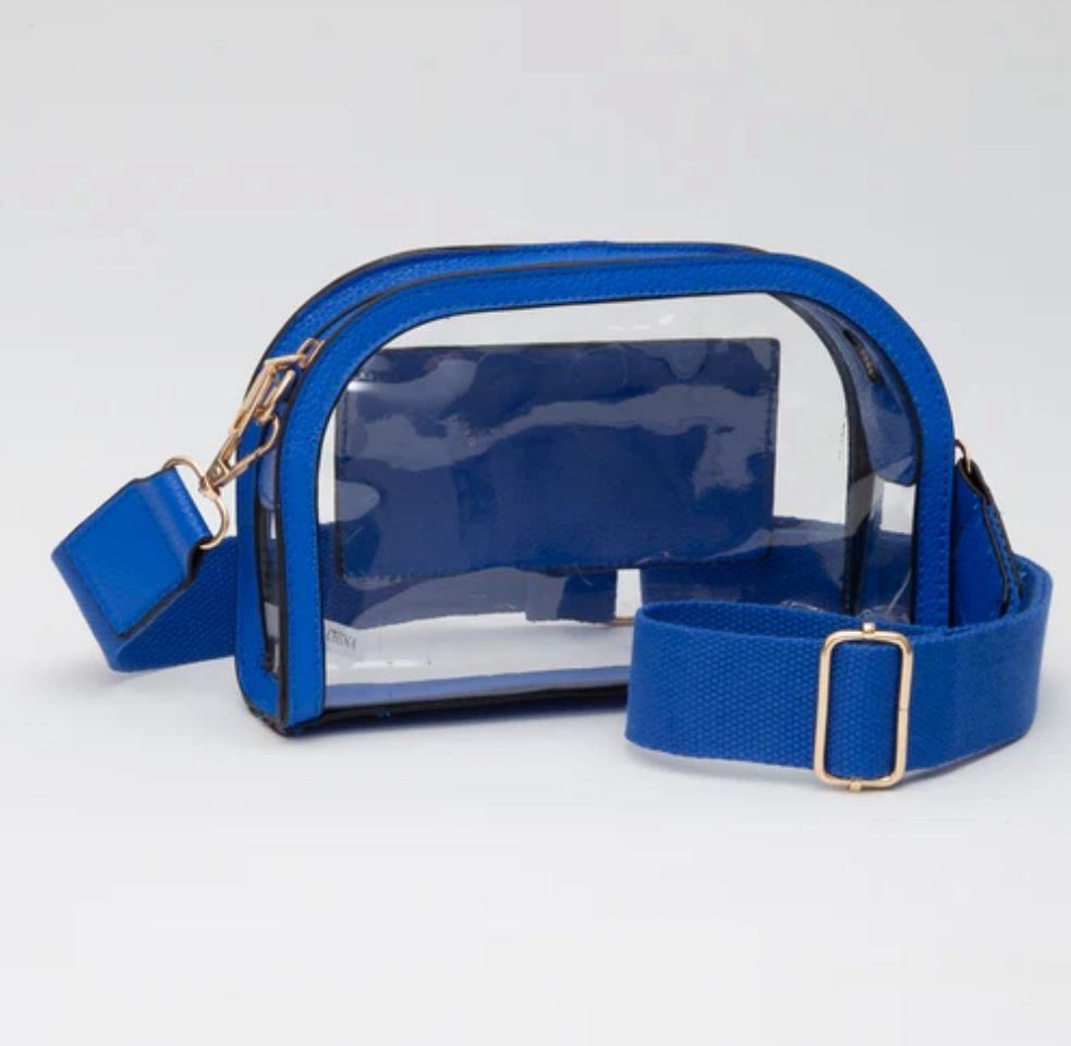 SeeThru Chic  Bag