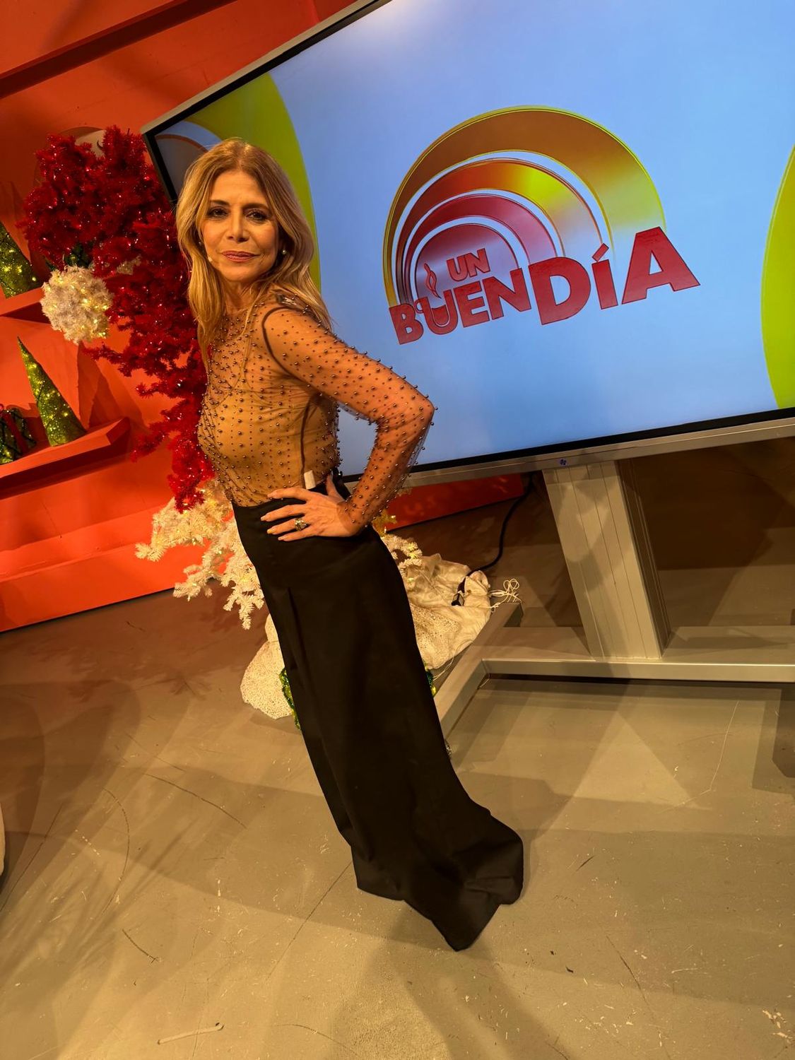 BEAD PEARL EMBELLISHED LONG SLEEVES