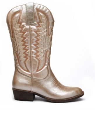 Metallic Leather Boot(offer apply only pick up) shipping xtra cost