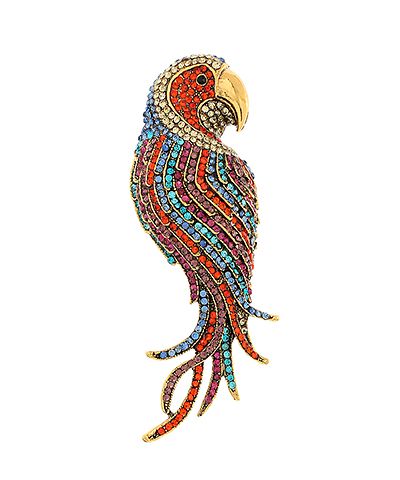 big parrot brooch