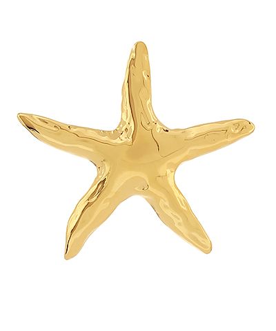 Sea star pin