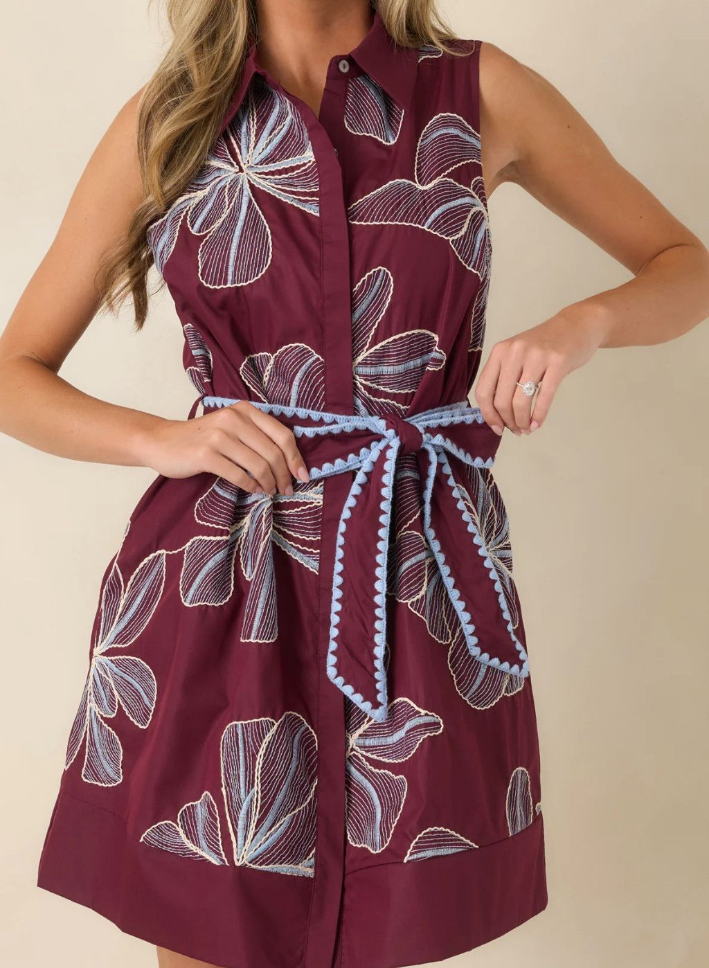 Drawn to You Burgundy &amp; Light Blue Floral Embroidered Mini Dress