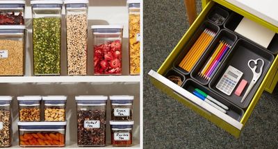 Organization