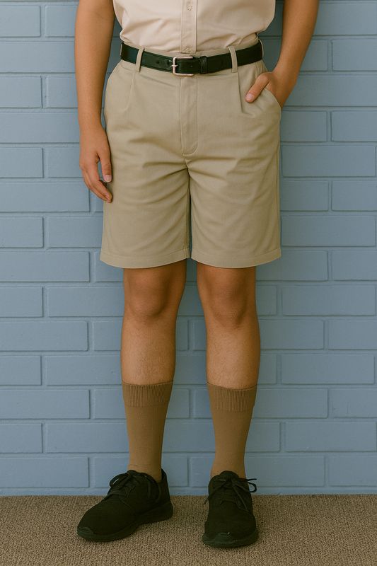 Boys Stone Shorts