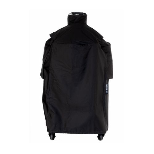 The Bastard Raincover