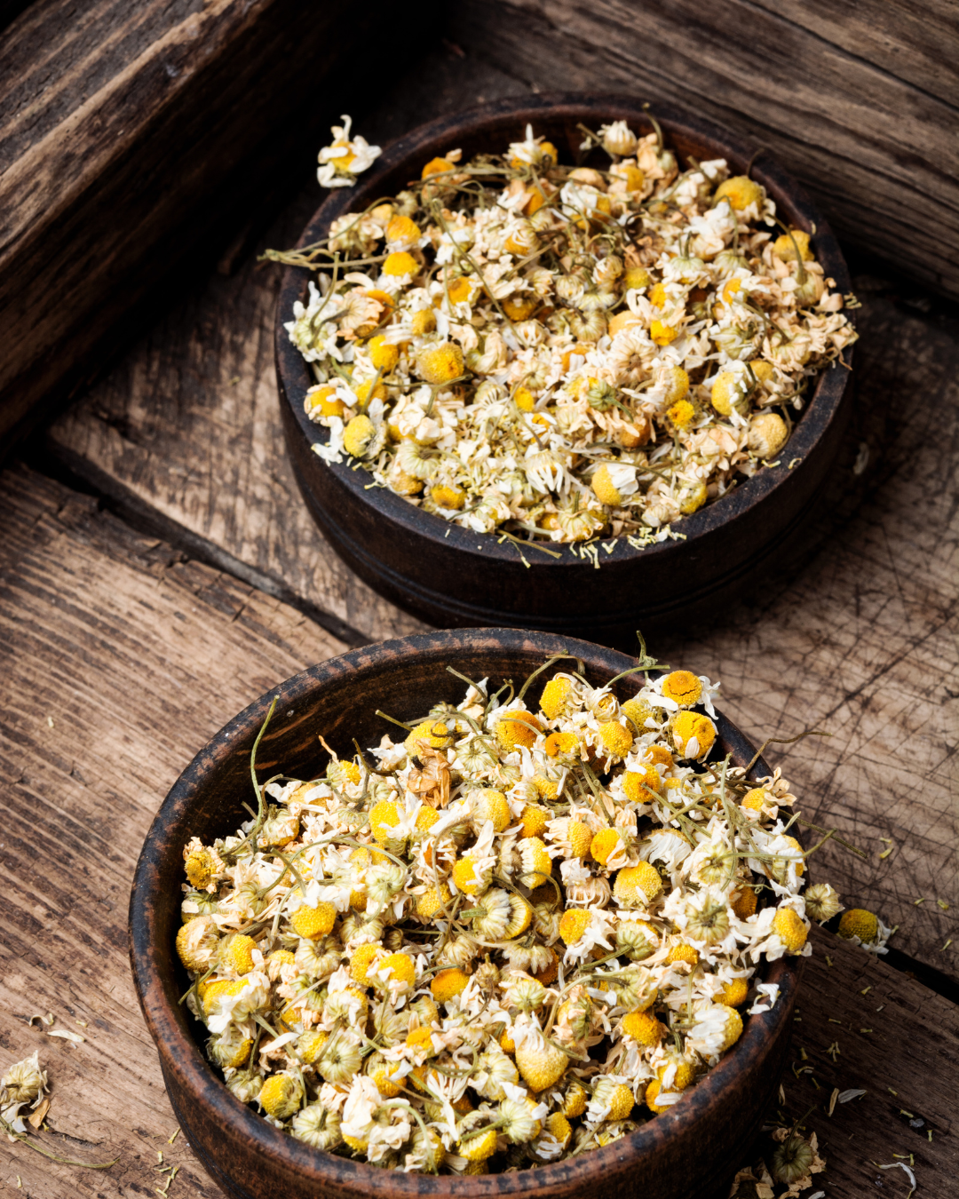 Chamomile