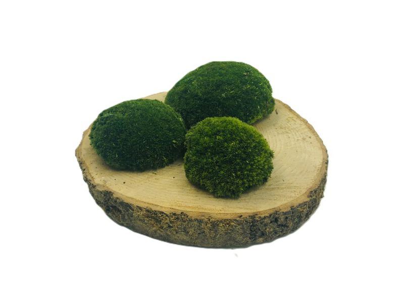 Mech PODUSZKOWY SZWEDZKI PREMIUM Ciemnozielony 130g netto ~0,1m2