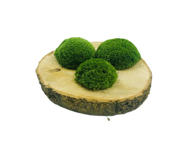 Mech PODUSZKOWY SZWEDZKI PREMIUM Średniozielony 130g netto ~0,1m2