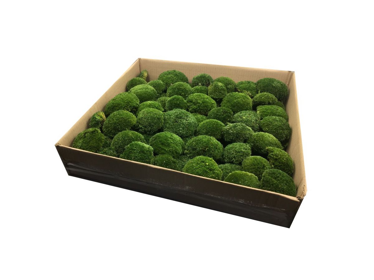 Mech PODUSZKOWY SZWEDZKI PREMIUM Ciemnozielony 0,5m2