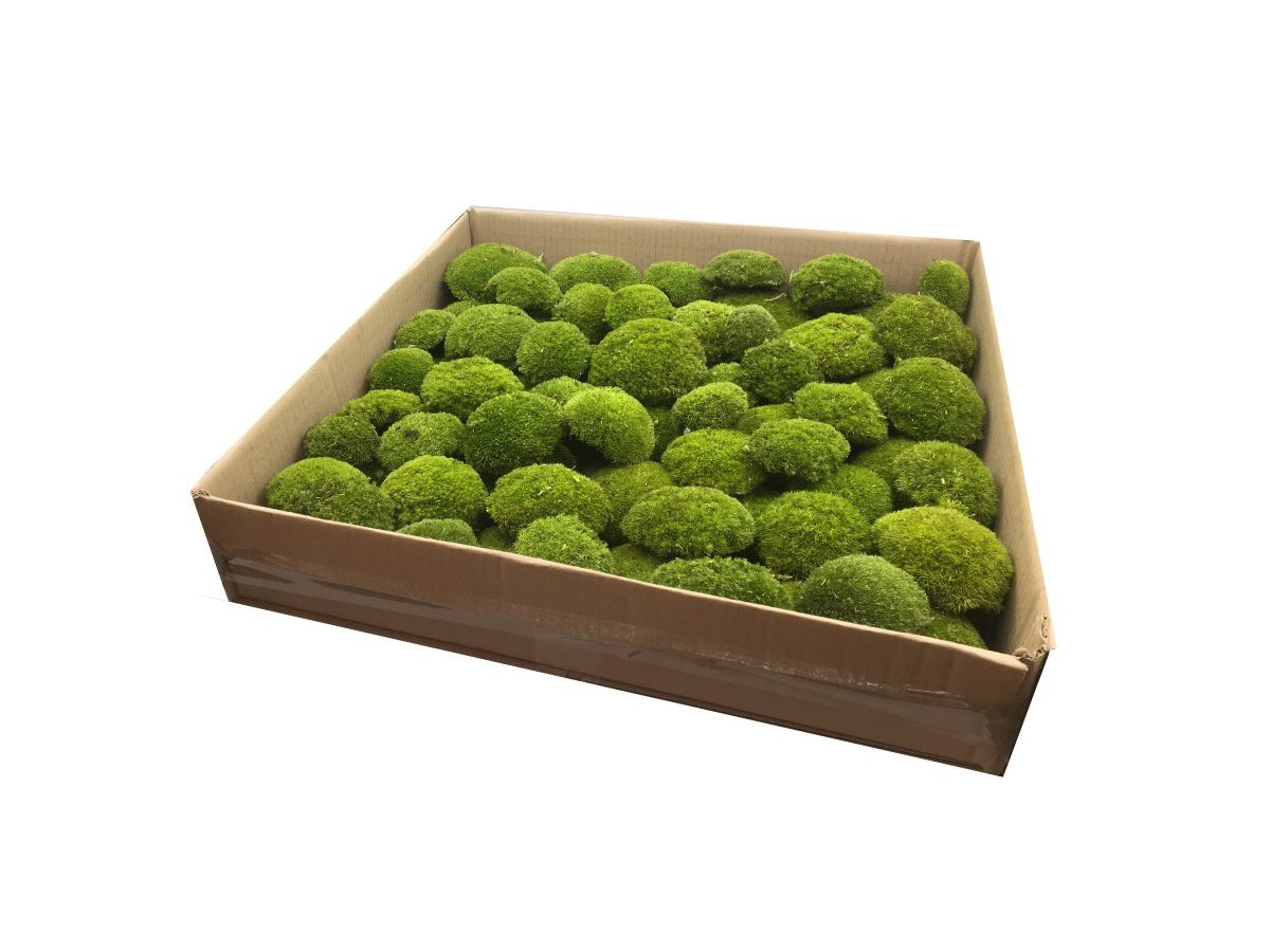 Mech PODUSZKOWY SZWEDZKI PREMIUM Jasnozielony 0,5m2