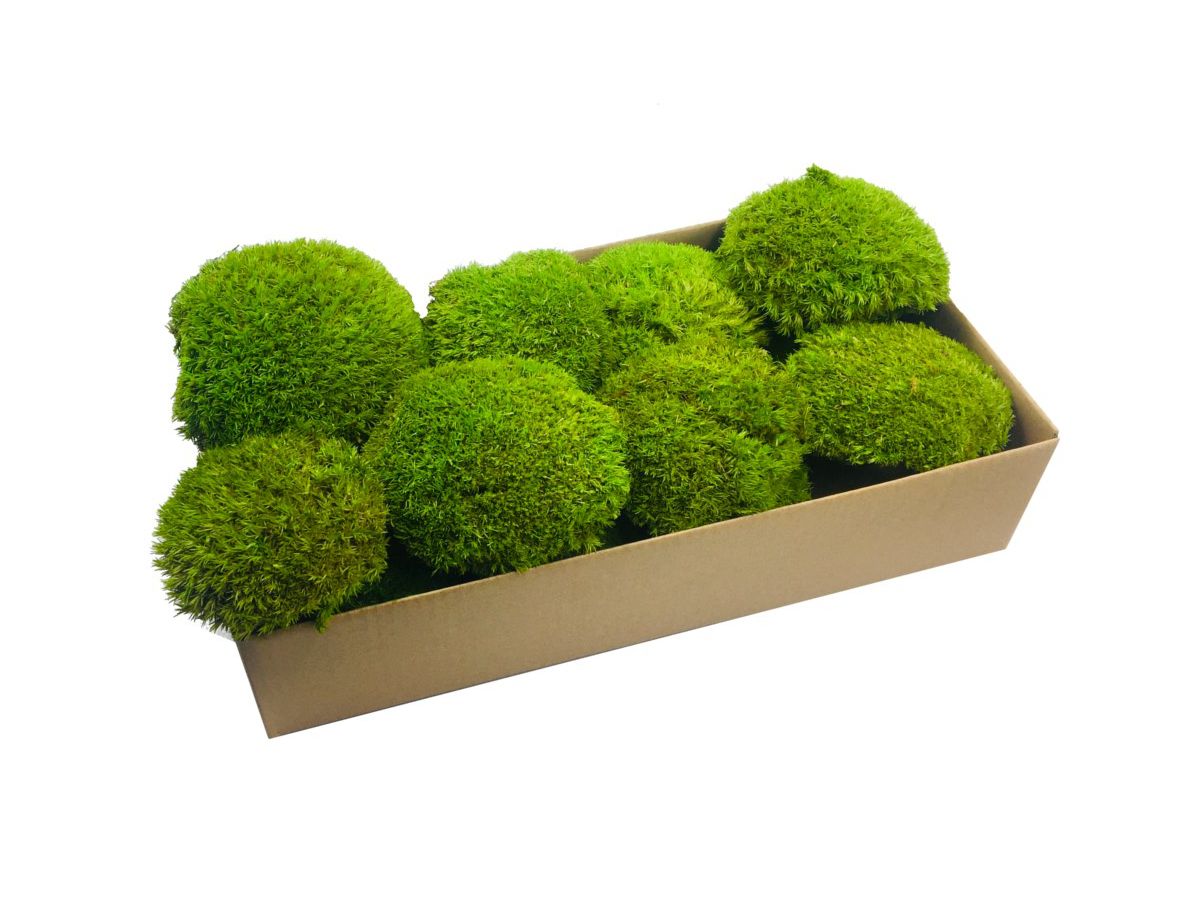 Mech Poduszkowy Tyrolski PREMIUM 150g Jasnozielony