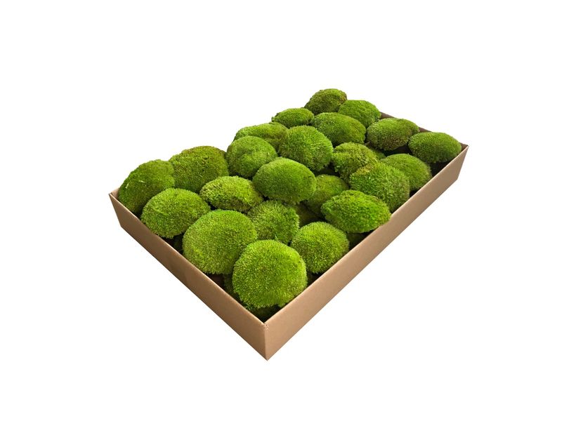 Mech Poduszkowy Tyrolski PREMIUM 0,5m2 Jasnozielony