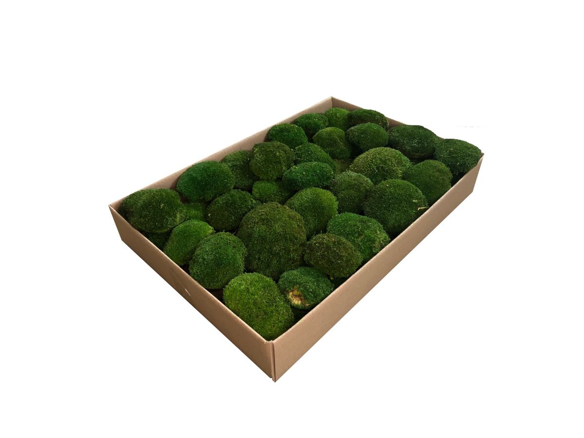 Mech Poduszkowy Tyrolski PREMIUM 0,5m2 Ciemnozielony