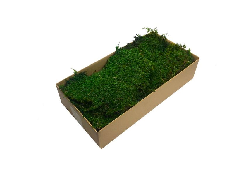 Mech Płaski Dekoracyjny PREMIUM 200g Netto ~0,2 m2 Średniozielony