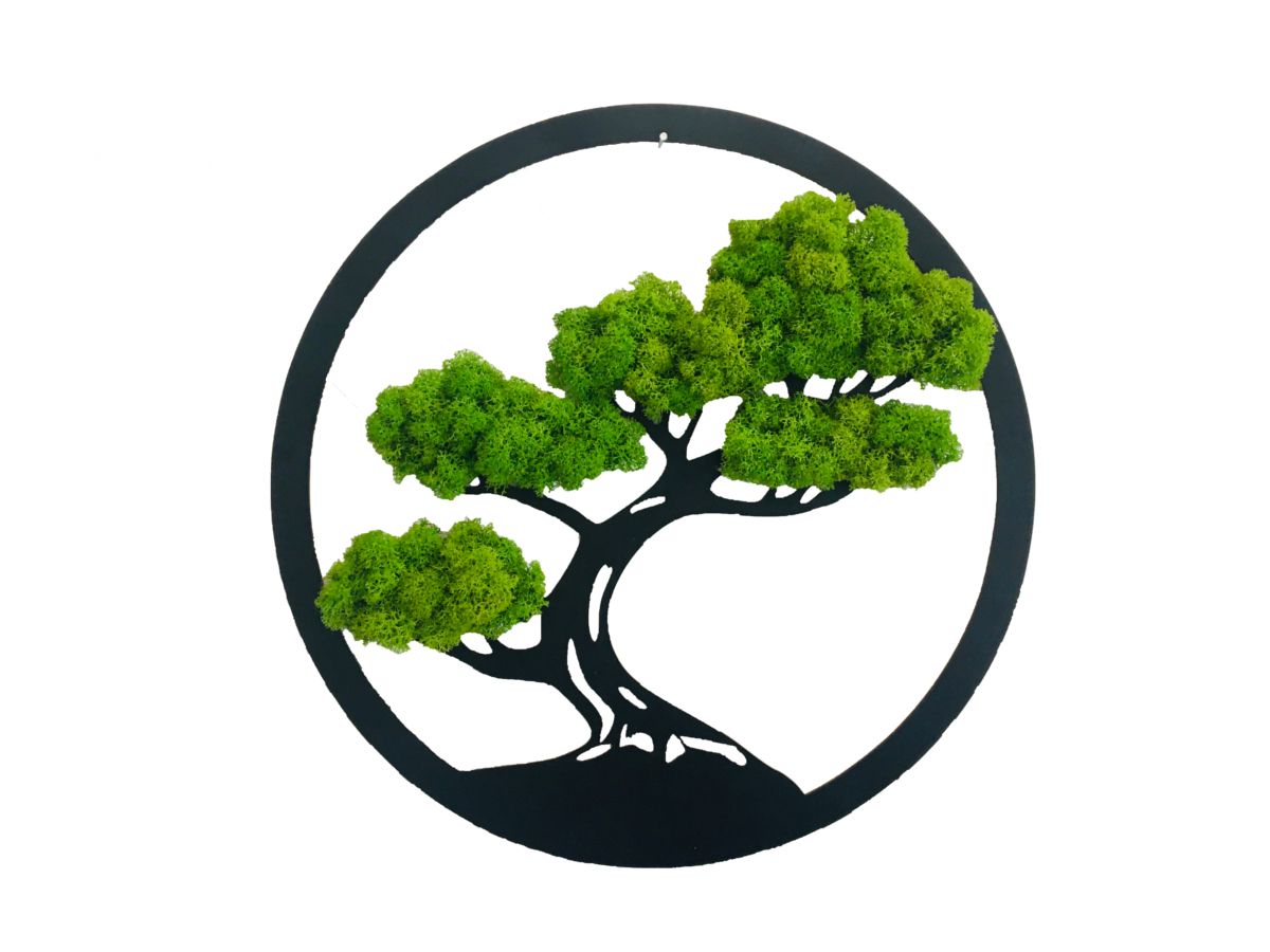 Dekoracja ścienna z mchu Chrobotka Drzewko BONSAI Średnica 30cm Jasnozielone