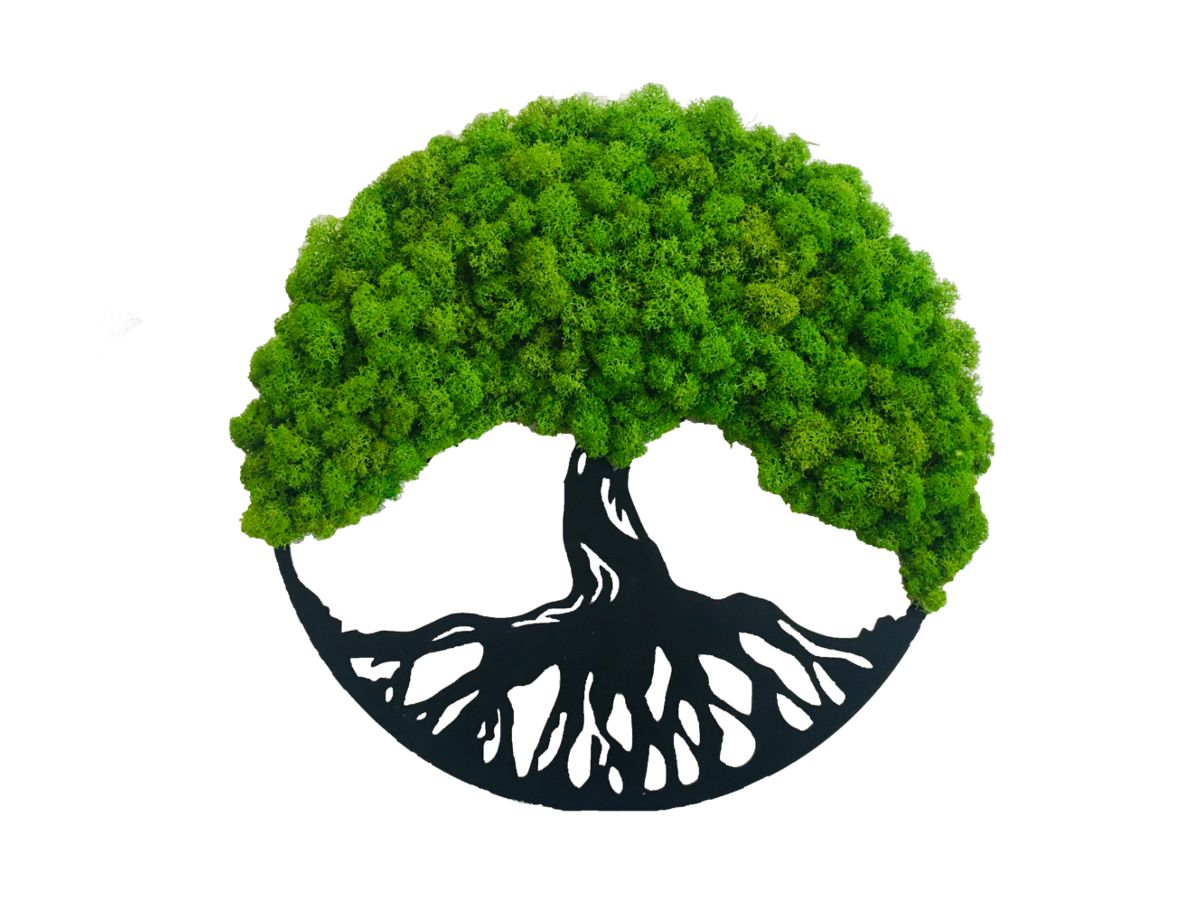 Dekoracja ścienna z mchu Chrobotka Drzewko Dąb Średnica 30cm Jasnozielone