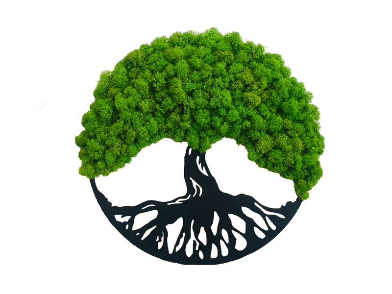 Dekoracja ścienna z mchu Chrobotka Drzewko Dąb Średnica 30cm Jasnozielone