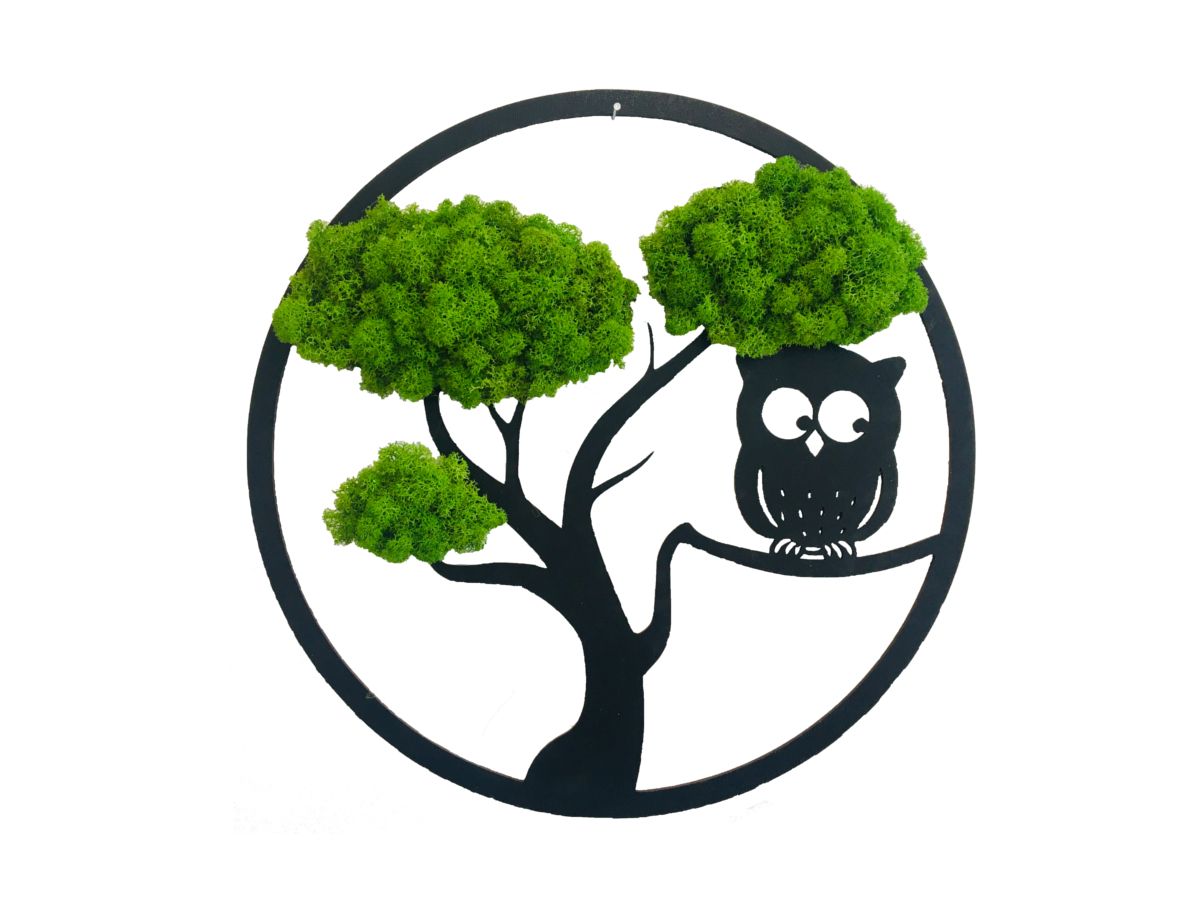 Dekoracja ścienna z mchu Chrobotka Drzewko Sowa Średnica 30cm Jasnozielone