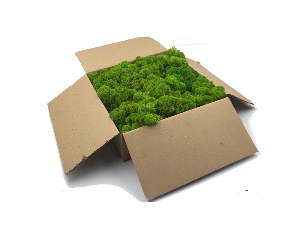 Mech Chrobotek / Reniferowy Fiński Oczyszczony PREMIUM 500g, Jasnozielony - Spring Green