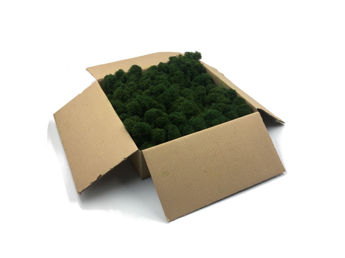 Mech Chrobotek / Reniferowy Fiński Oczyszczony PREMIUM 500g, Ciemnozielony  - Dark Green