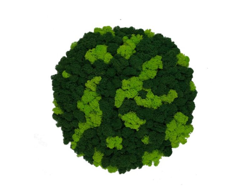 Panel Okrągły z Mchu Reniferowego PREMIUM, Wyspa z Mchu Chrobotka – Mix Kolorów (Jasnozielony z Ciemnozielonym), Średnica 52 cm