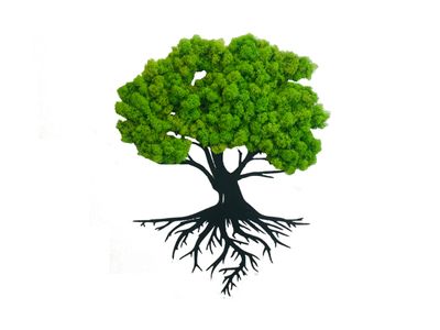 Dekoracje i Obrazy z Mchu