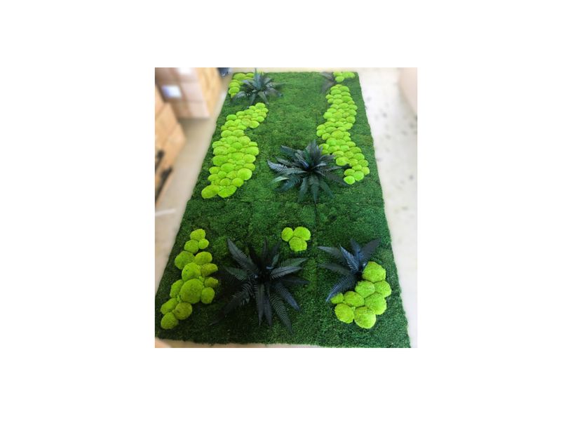 Ściany z mchu na zamówienie