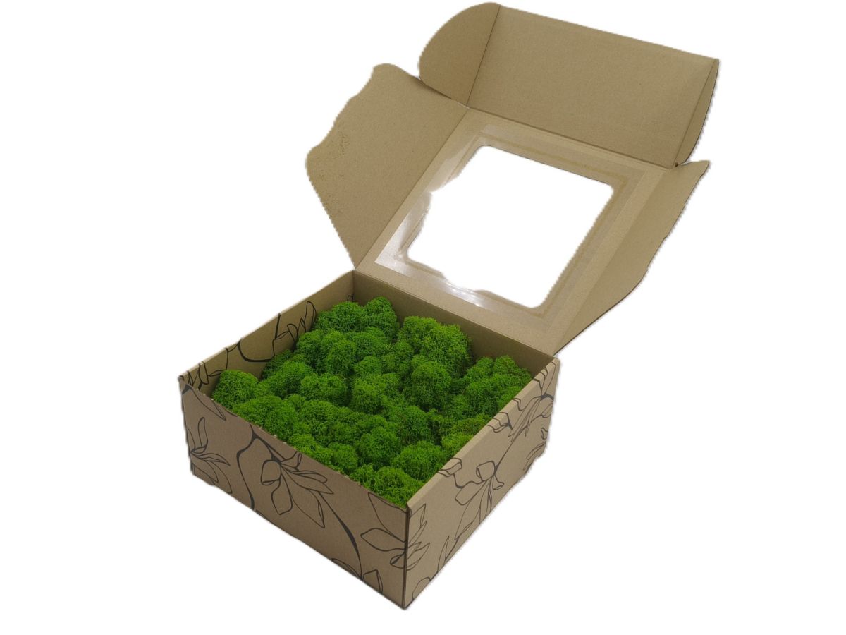 Mech Chrobotek - Mech Reniferowy Fiński w Pudełku Okienkiem 20x20x10 cm, Oczyszczony Mech PREMIUM Jasnozielony - Spring Green