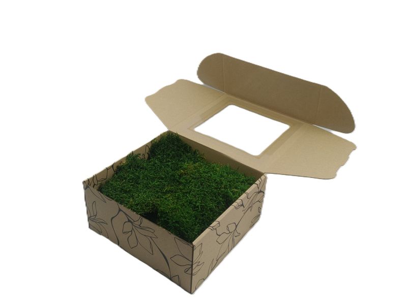 Mech Płaski Dekoracyjny PREMIUM w Pudełku z Okienkiem 20x20x10 cm ~ 100 g Netto (~0,1 m²) – Średniozielony (Medium Green)