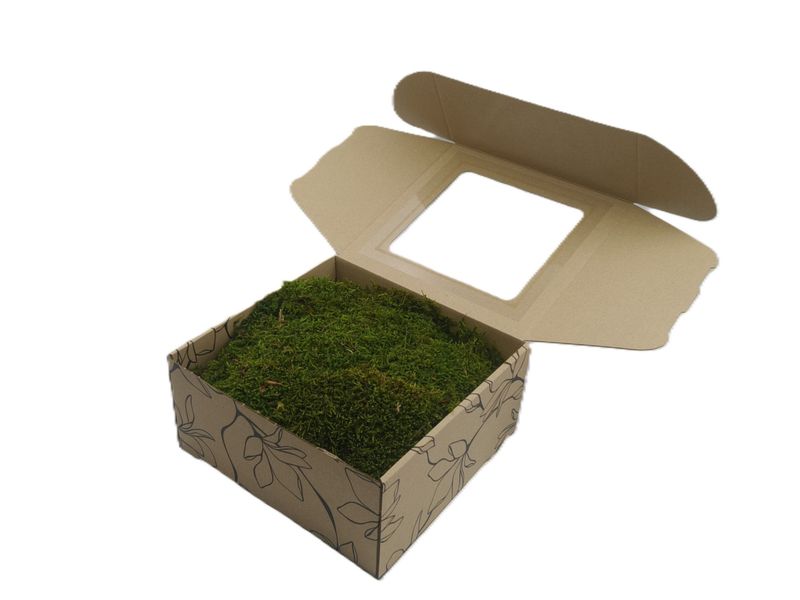 Mech Płaski Dekoracyjny PREMIUM w Pudełku z Okienkiem 20x20x10 cm ~ 100 g Netto (~0,1 m²) – Jasnozielony (Light Green)