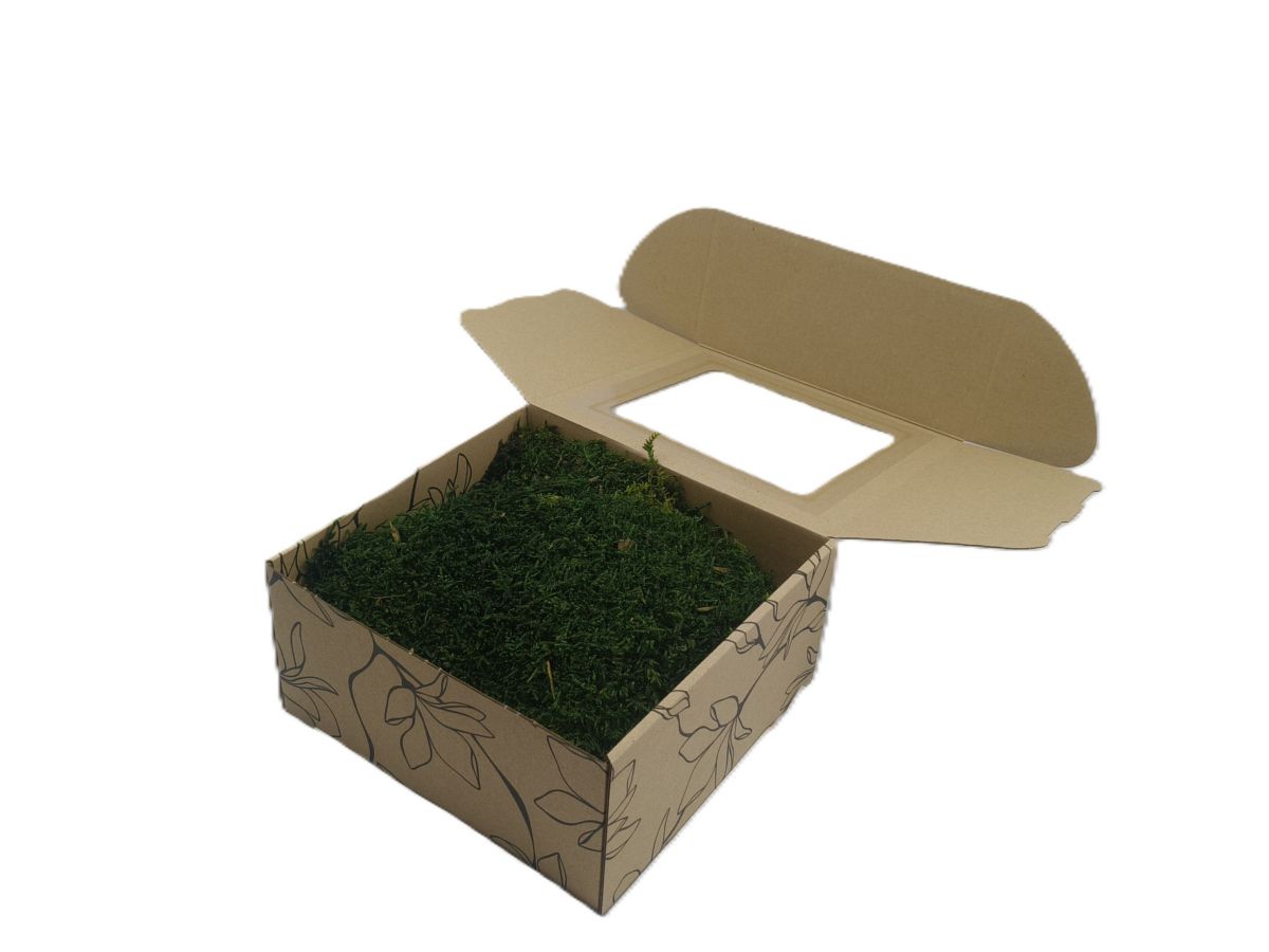 Mech Płaski Dekoracyjny PREMIUM w Pudełku z Okienkiem 20x20x10 cm ~ 100 g Netto (~0,1 m²) – Ciemnozielony (Dark Green)