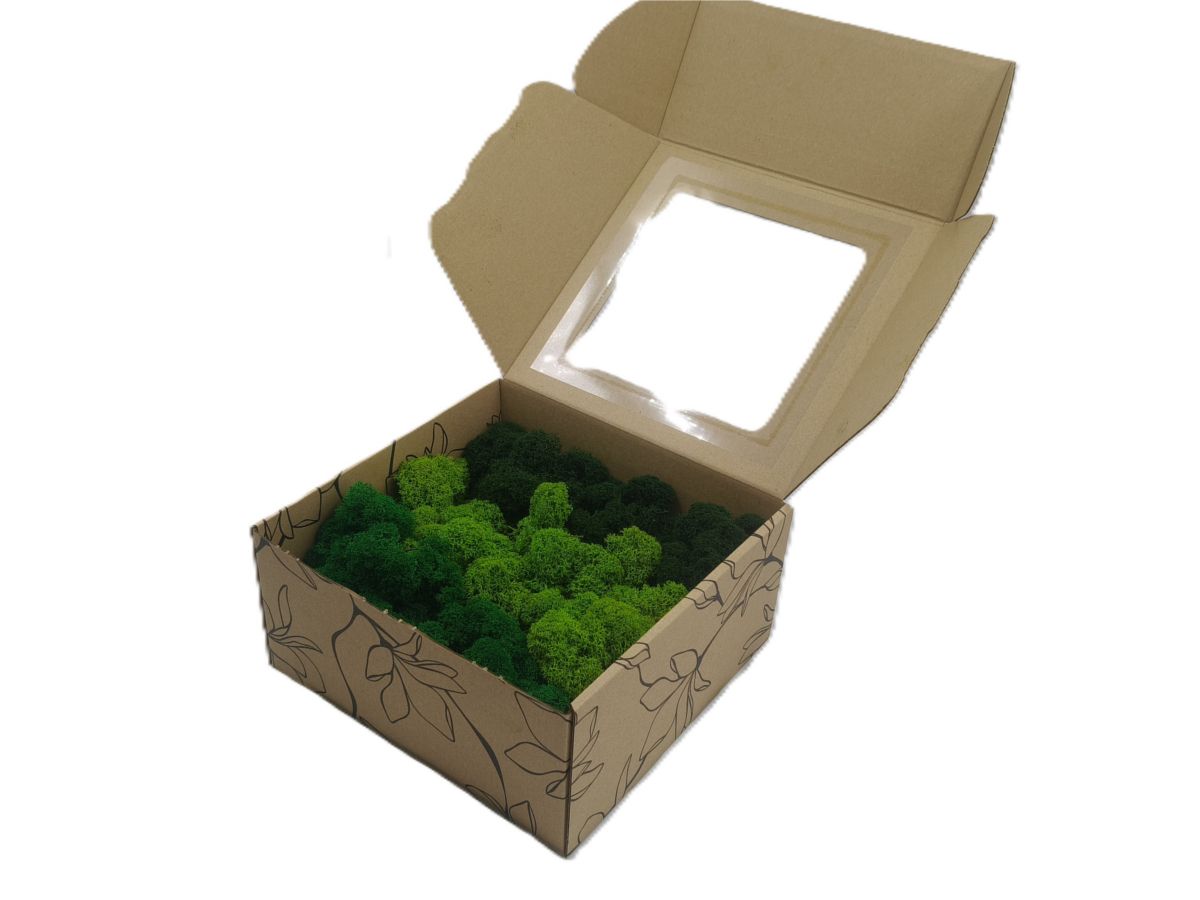 Mech Chrobotek - Mech Reniferowy Fiński w Pudełku z Okienkiem 20x20x10 cm, Oczyszczony Mech PREMIUM Mix Kolorów.