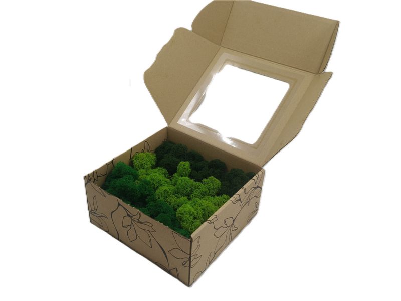 Mech Chrobotek - Mech Reniferowy Fiński w Pudełku z Okienkiem 20x20x10 cm, Oczyszczony Mech PREMIUM Mix Kolorów.