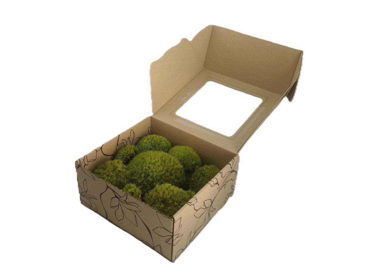 Mech PODUSZKOWY PREMIUM w Pudełku z Okienkiem 20x20x10 cm Jasnozielony