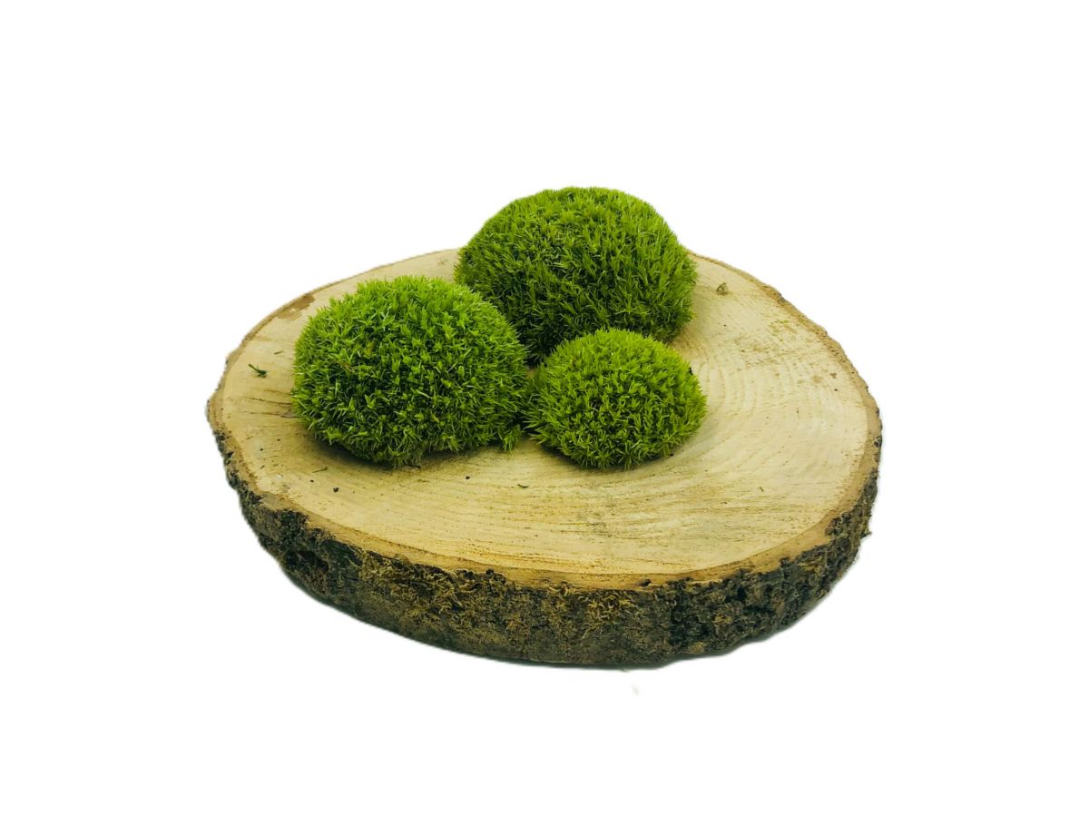 Mech PODUSZKOWY SZWEDZKI PREMIUM Jasnozielony 130g netto ~0,1m2