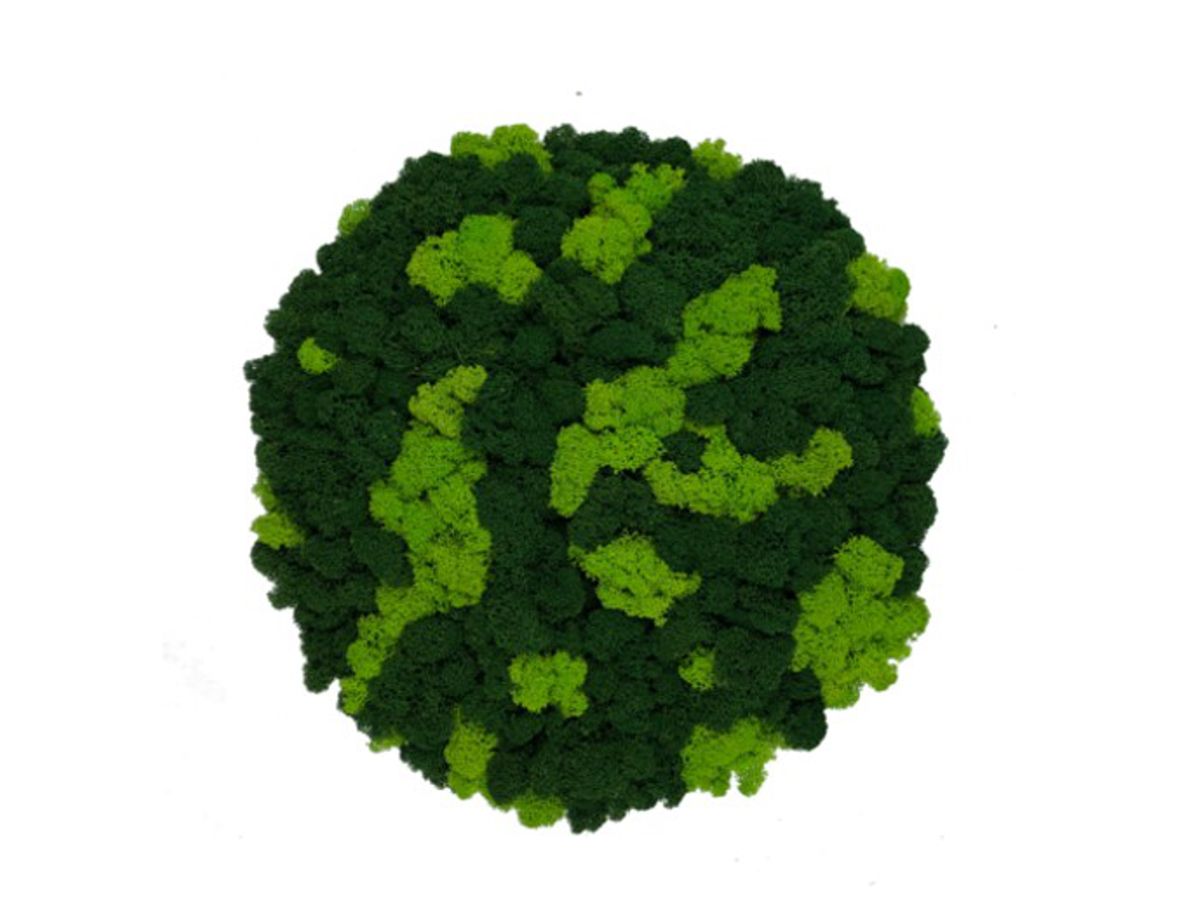 Panel Okrągły z Mchu Reniferowego PREMIUM, Wyspa z Mchu Chrobotka – Mix Kolorów (Jasnozielony z Ciemnozielonym), Średnica 42 cm