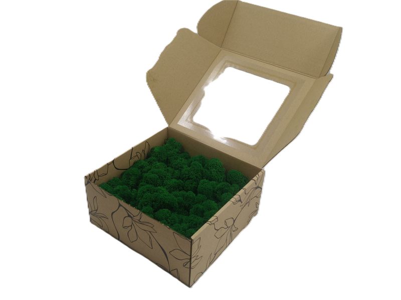 Mech Chrobotek - Mech Reniferowy Fiński w Pudełku z Okienkiem 20x20x10 cm, Oczyszczony Mech PREMIUM Średniozielony - Medium Green