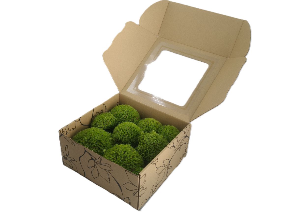 Mech PODUSZKOWY PREMIUM w Pudełku z Okienkiem 20x20x10 cm Średniozielony