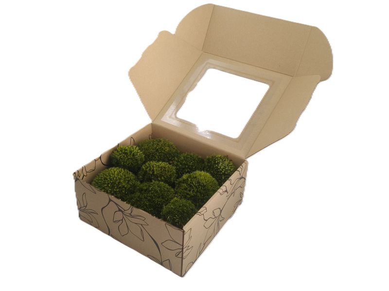 Mech PODUSZKOWY PREMIUM w Pudełku z Okienkiem 20x20x10 cm Ciemnozielony