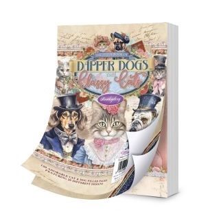 Little book of  Dapper Dogs Little book of  Dapper Dogs