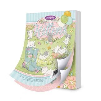 Little book of Kittens Little book of Kittens