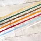 Winter Robins Ribbon pack