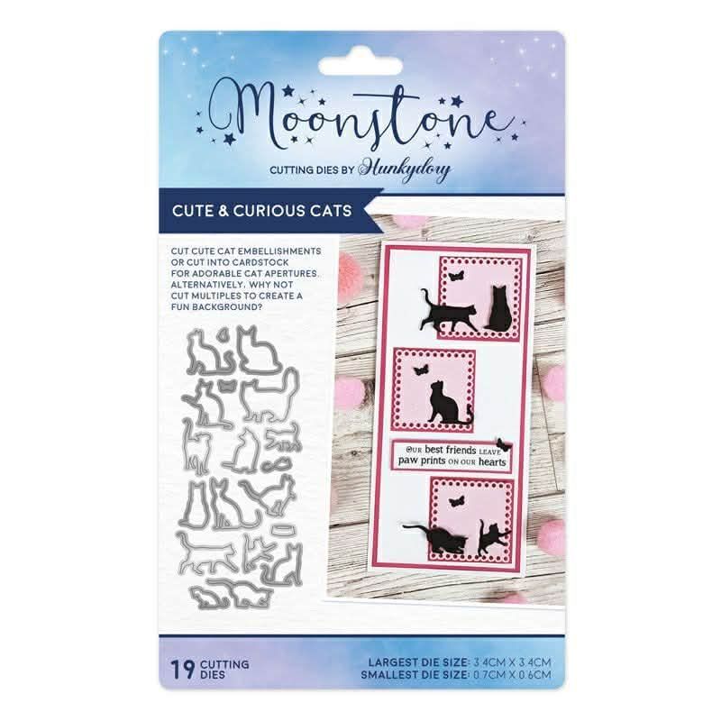 Cute and Curious Cats Cute and Curious Cats