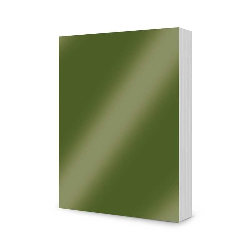 Holly Green PK A4 10 sheets