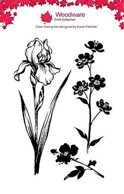 Wild Iris  A6 Stamp set