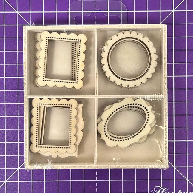 Frames Embellishments  x45