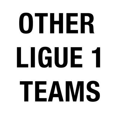 Other Ligue 1 Teams